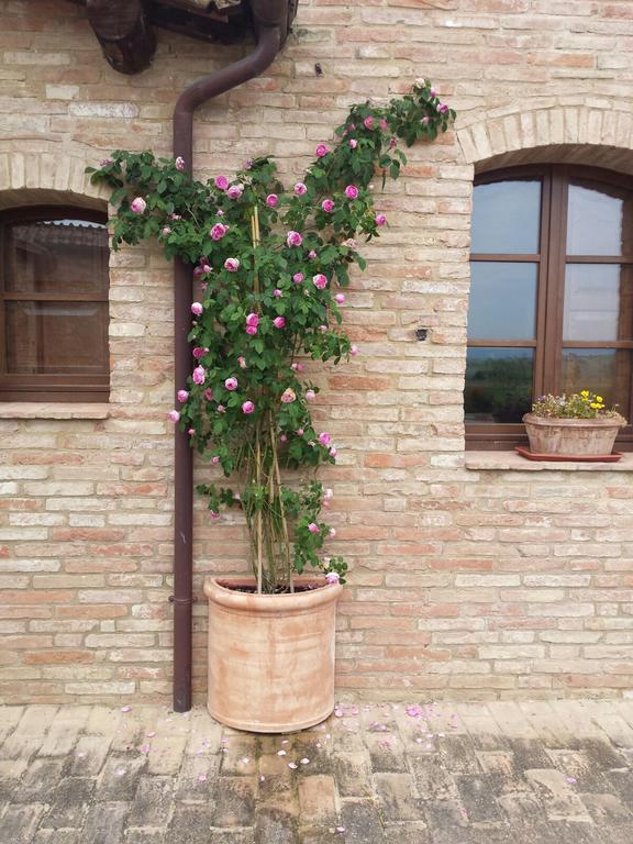 Agriturismo San Pierino Monteroni dʼArbia Exteriér fotografie